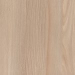 Casentino Beech