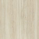 Bleached Elm