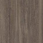 Blackened Elm