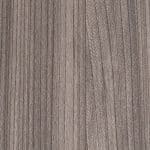 Lusterous Elm