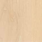 Rock Maple