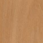 Blackbutt