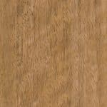 Spotted Gum