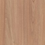 Tasmanian Oak